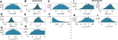 Modeling Bioavailability Limitations of Atrazine Degradation in Soils